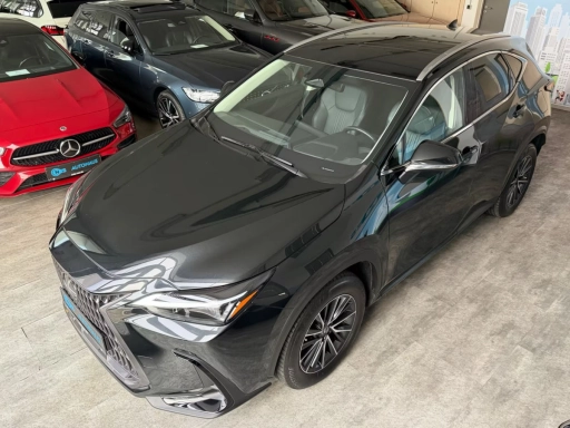 Lexus NX, 2022